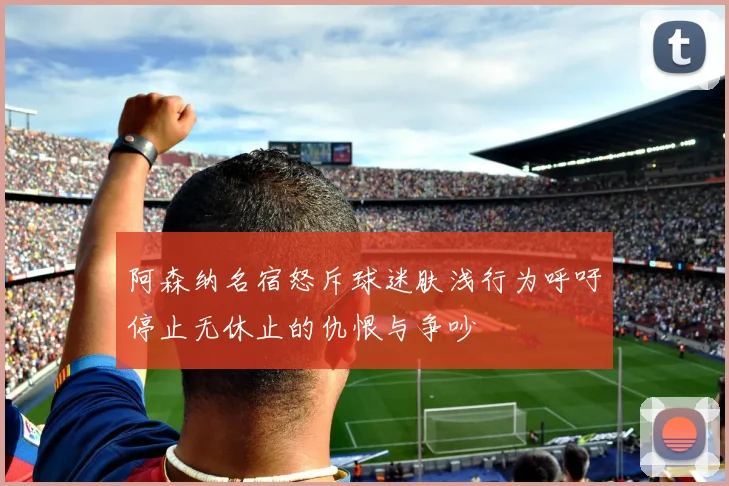 阿森纳名宿怒斥球迷肤浅行为呼吁停止无休止的仇恨与争吵
