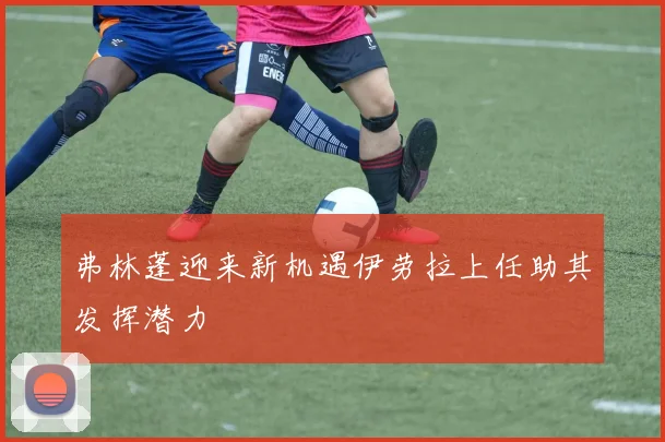弗林蓬迎来新机遇伊劳拉上任助其发挥潜力