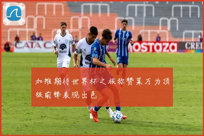 加维期待世界杯之旅称赞莱万为顶级前锋表现出色