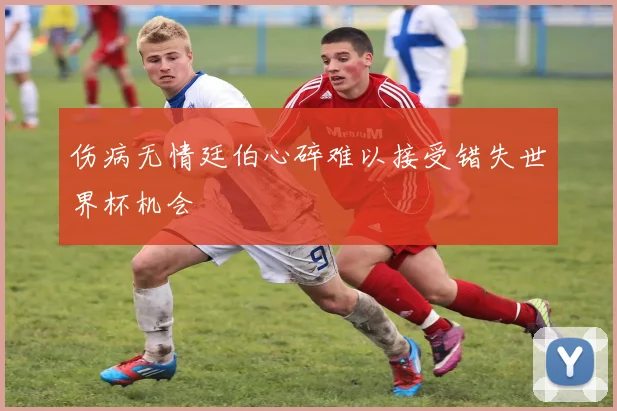 伤病无情廷伯心碎难以接受错失世界杯机会